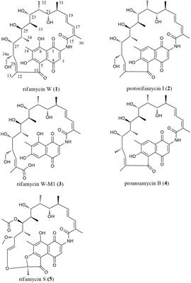 Bioprospecting for the soil-derived actinobacteria and bioactive secondary metabolites on the Western Qinghai-Tibet Plateau